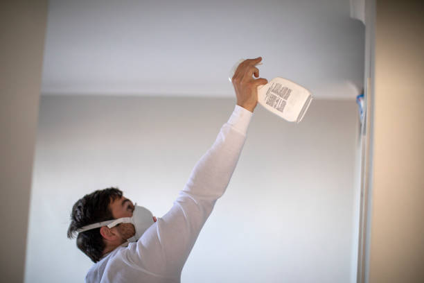 Trusted Cliffwood Beach, NJ Mold Removal Experts