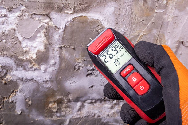 Home Mold Removal in Cliffwood Beach, NJ