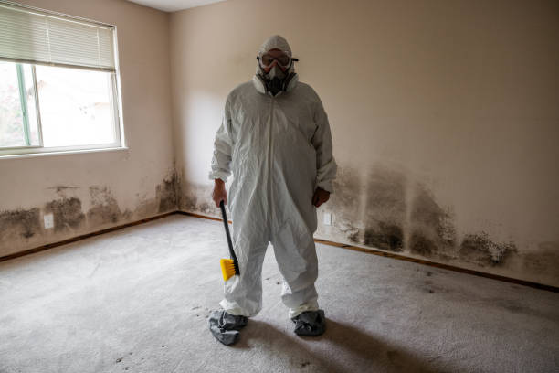 Best Professional Mold Removal  in Cliffwood Beach, NJ