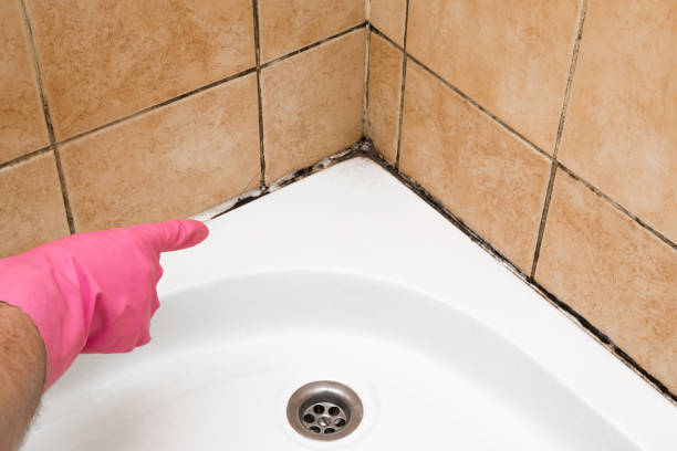 Best Mold Testing  in Cliffwood Beach, NJ